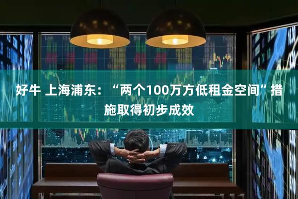 好牛 上海浦东：“两个100万方低租金空间”措施取得初步成效